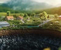 Biomass Feedstocks in Energy Production