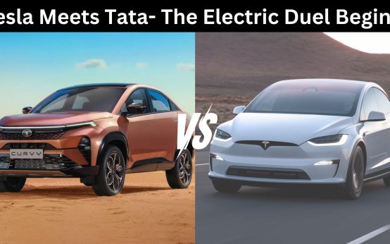 tata vs tesla