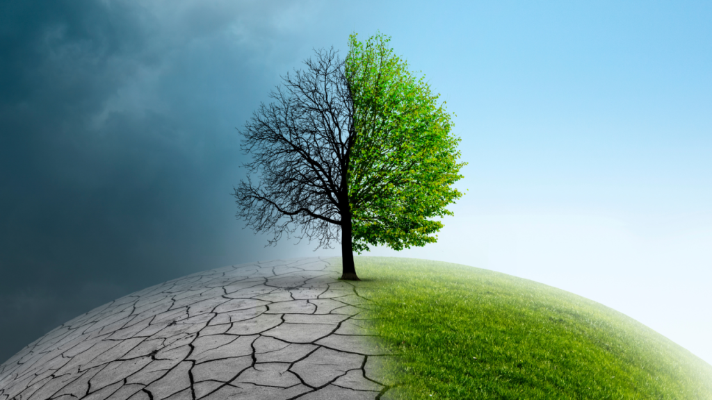 Climate Action
