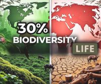30% BIODIVERSITY