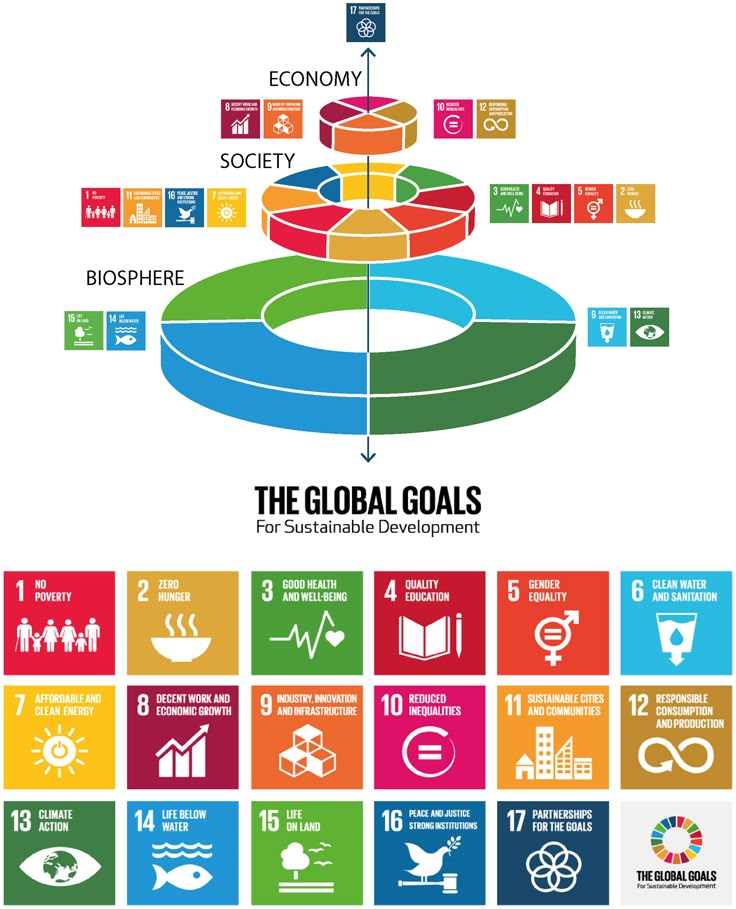 UN Report