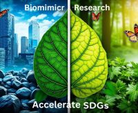 Biomimicry Research