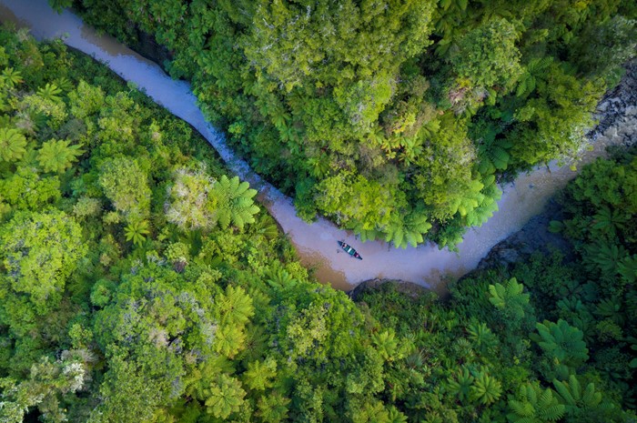 Climate Action
