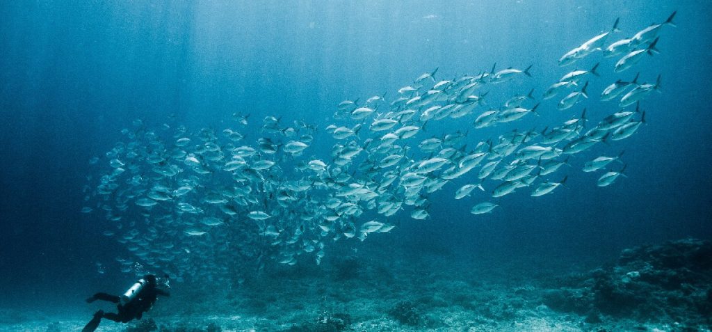 5th UN Ocean Forum
