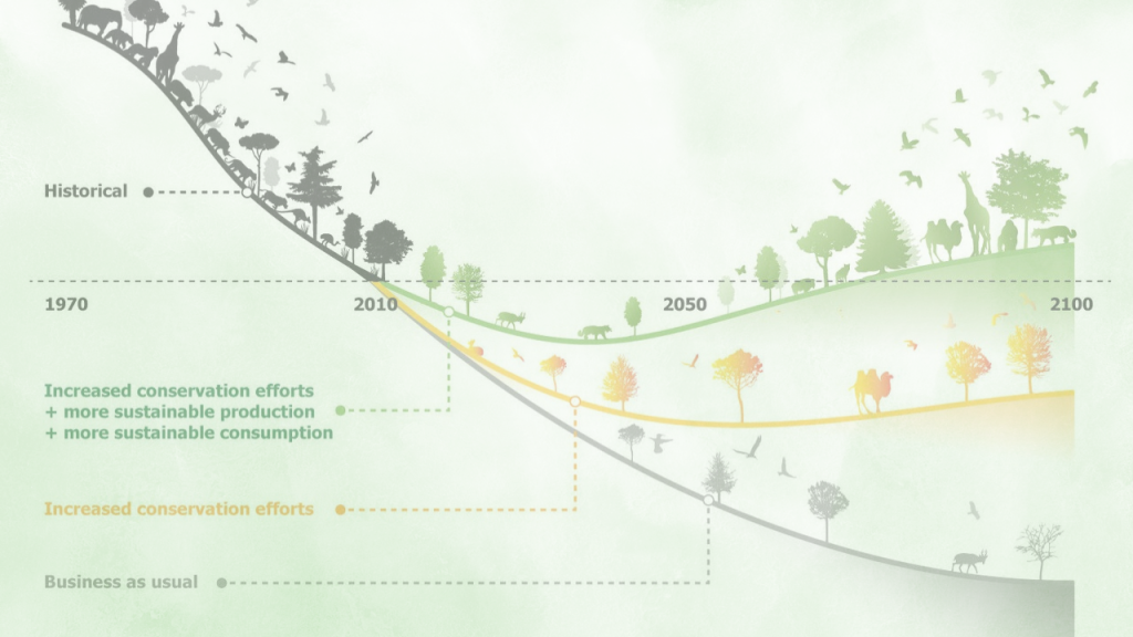 
30% Biodiversity
