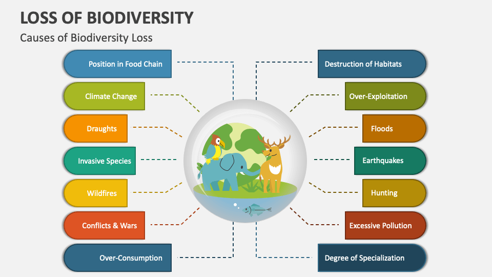 30% Biodiversity
