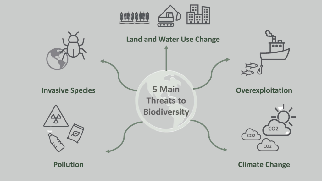 Biodiversity Breakdown
