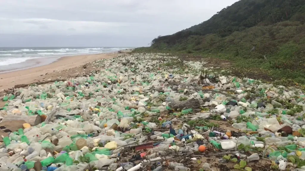Sustainable Ocean
