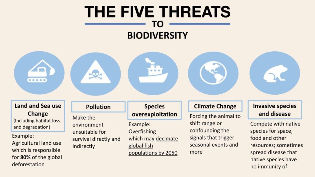 Biodiversity Breakdown
