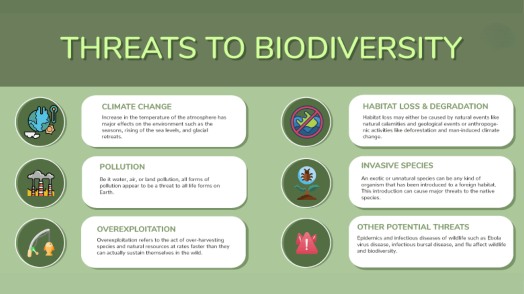 Biodiversity Breakdown
