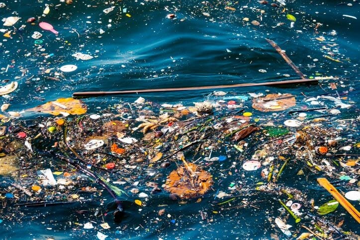 Sustainable Ocean
