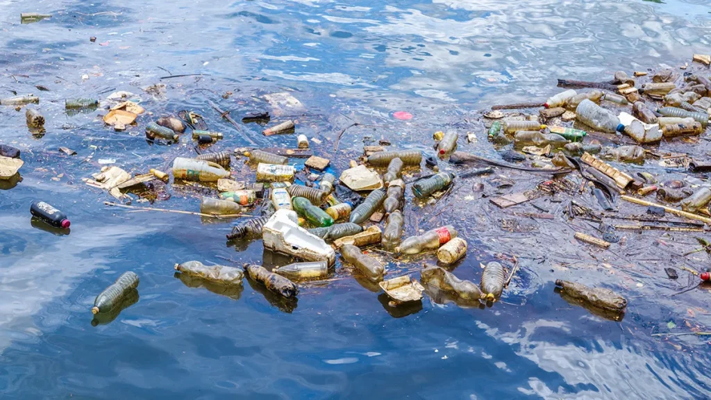 Sustainable Ocean
