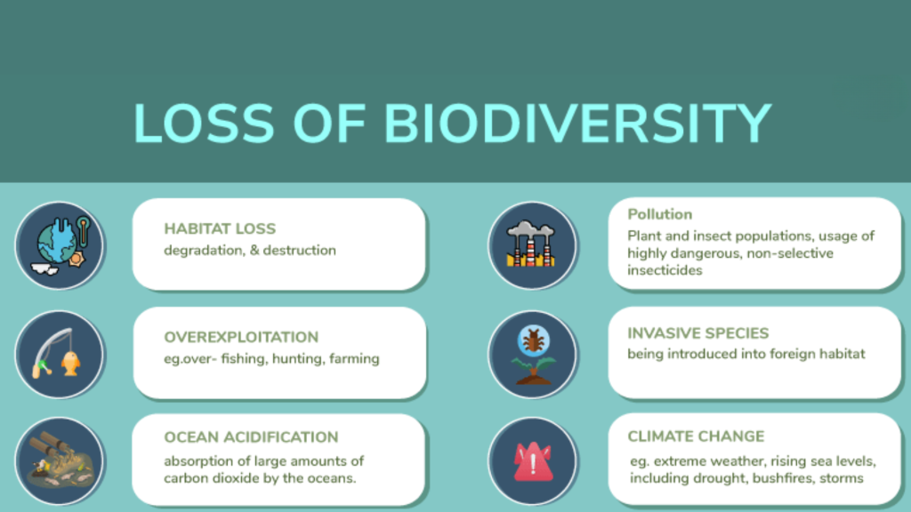 Biodiversity Collapse
