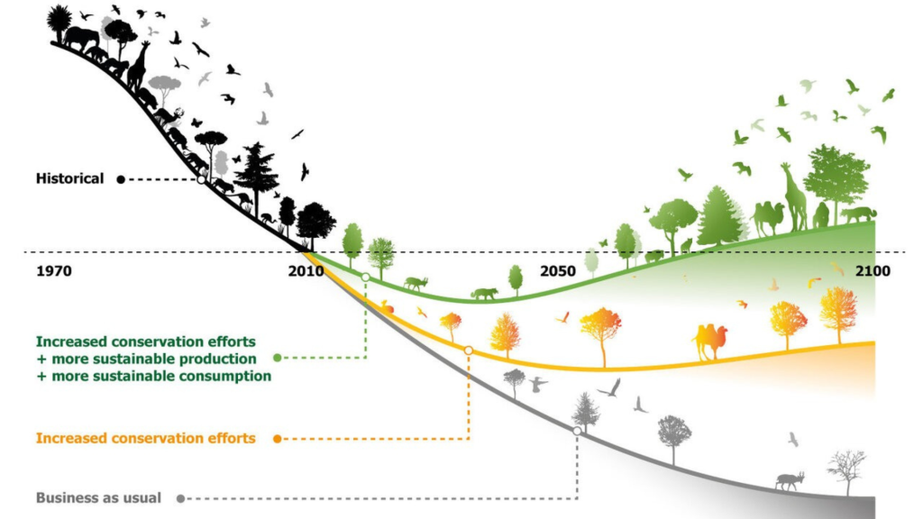 Biodiversity Collapse
